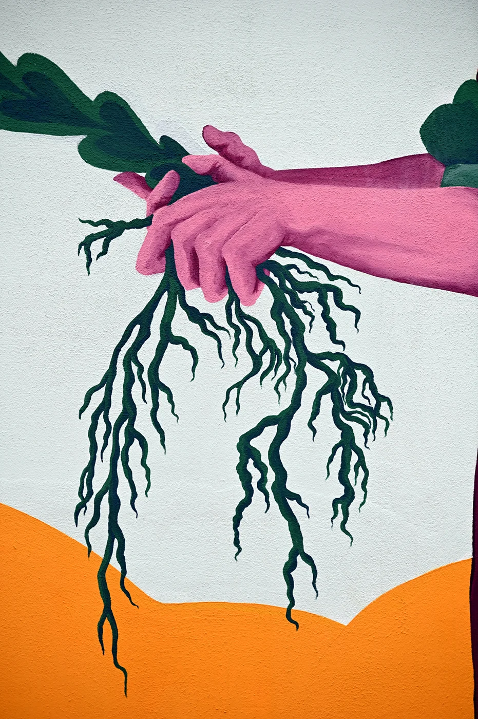 Dettaglio del murale "Radici Erranti" che raffigura un paio di mani rosa intente a sradicare o piantare una giovane pianta con radici lunghe e ramificate, che si staglia contro uno sfondo bianco e colline arancioni.