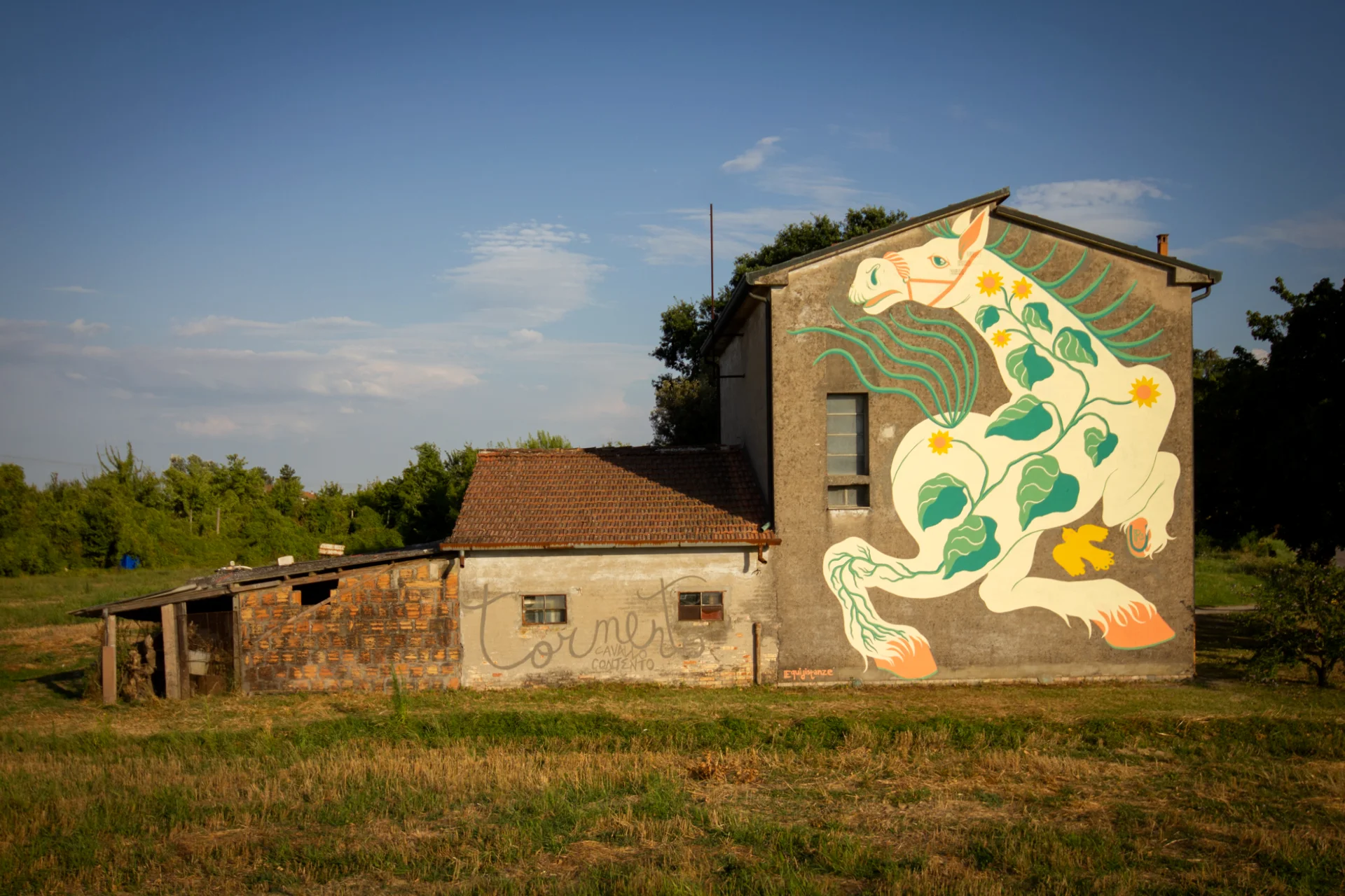 Dettaglio del murale "Tormento, Cavallo Contento" di Rosmunda che mostra la facciata laterale di un edificio rurale sulla quale è dipinto un grande cavallo bianco stilizzato con ali verdi e decorazioni floreali gialle, circondato da una distesa di erba secca sotto un cielo azzurro.