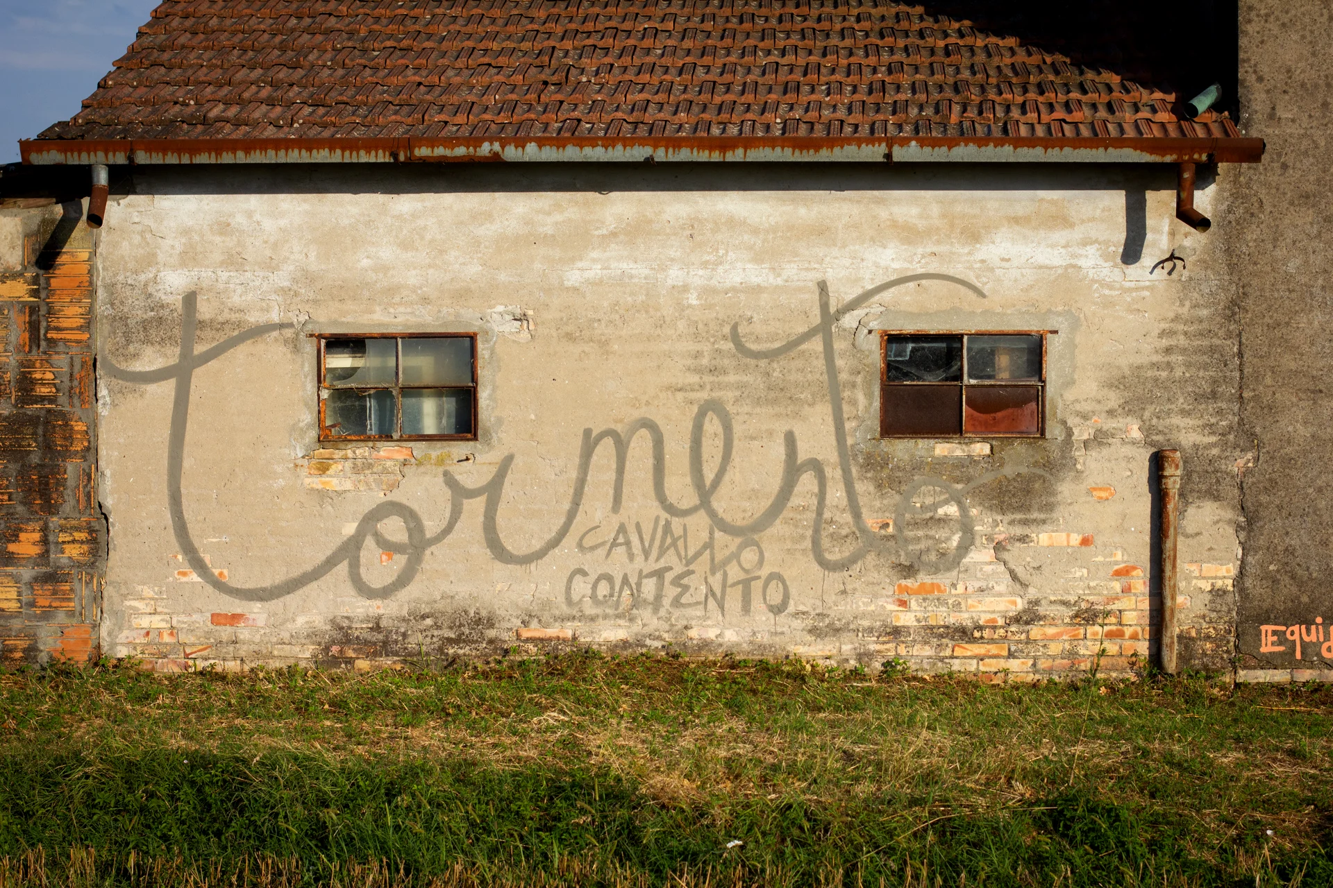 Dettaglio del murale "Tormento, Cavallo Contento" di Rosmunda che mostra la porzione inferiore di un edificio rurale con pareti in mattoni e intonaco rovinato, sulla quale è tracciata la scritta in corsivo "Tormento Cavallo Contento".