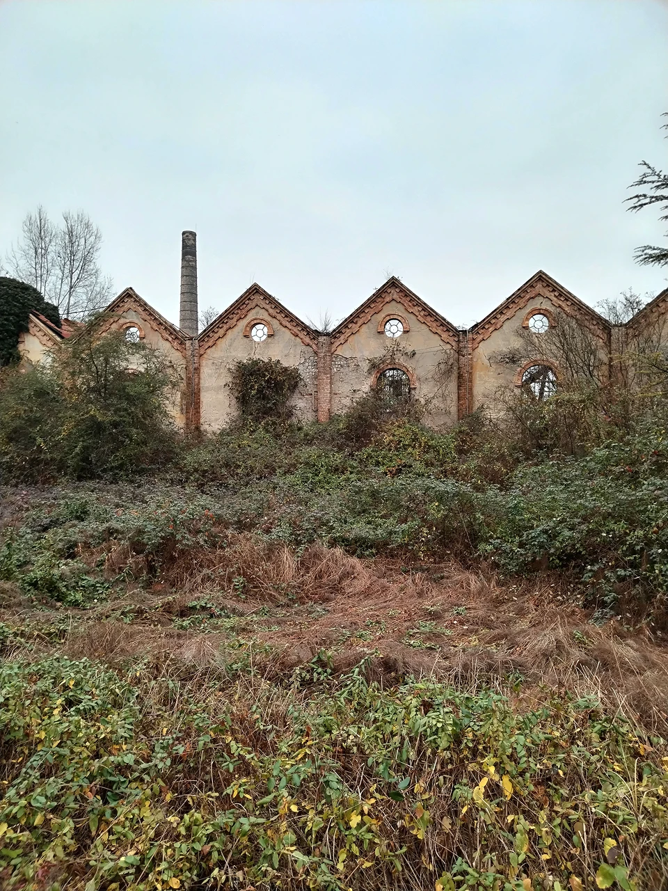 Veduta esterna della fabbrica dismessa con i caratteristici tetti a dente di sega e un'alta ciminiera, circondata da vegetazione incolta, dove è stato realizzato il progetto Wild Thing.